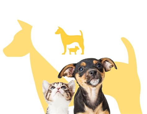 lifetime pet cover insurance